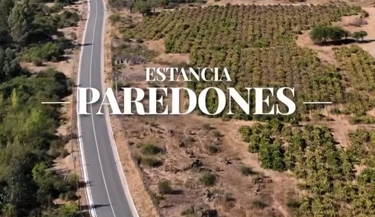 ESTANCIA DE PAREDONES VI REGIÓN