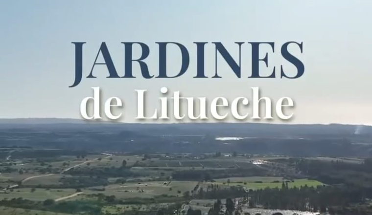 JARDINES DE LITUECHE VI REGIÓN