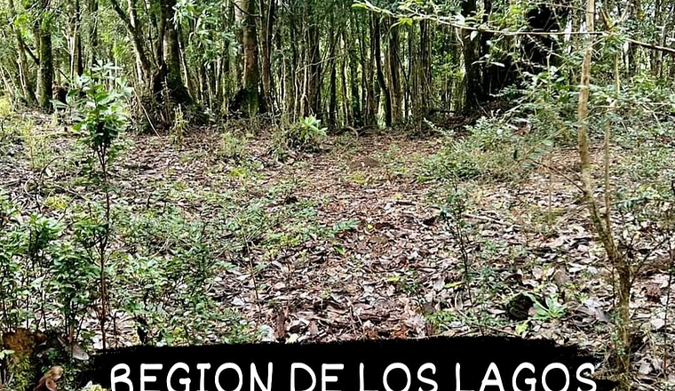 BAHIA CHACAO X REGIÓN