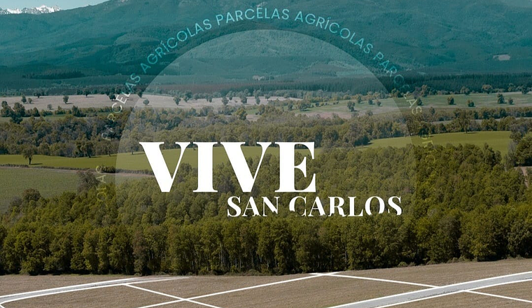 VIVE SAN CARLOS XVI REGIÓN
