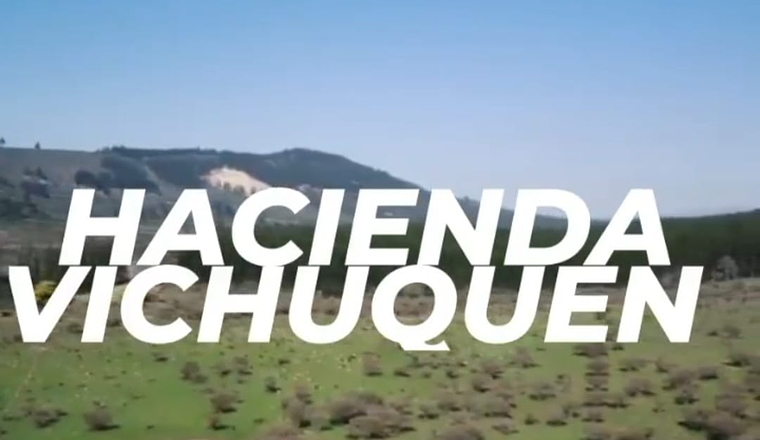HACIENDA VICHUQUEN VII REGIÓN
