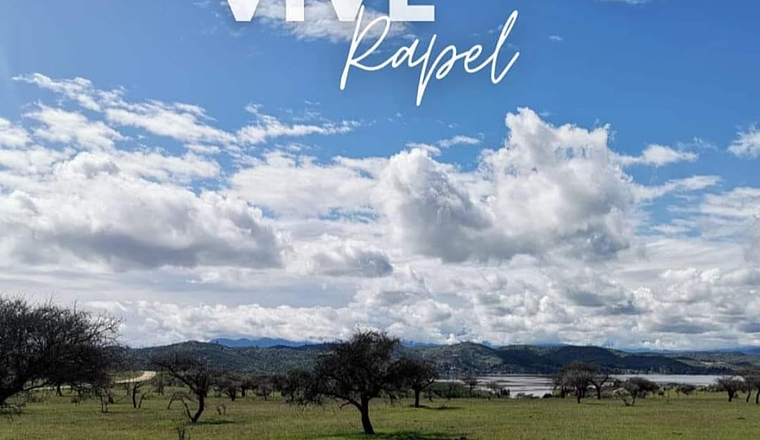 VIVE RAPEL VI REGIÓN