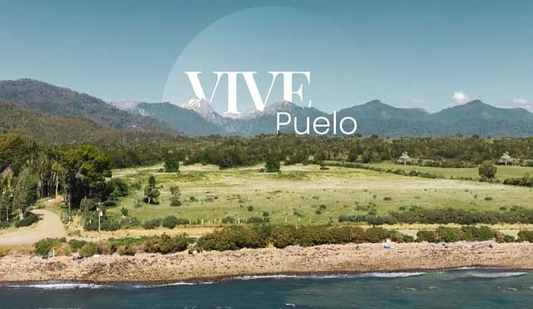 VIVE PUELO X REGIÓN