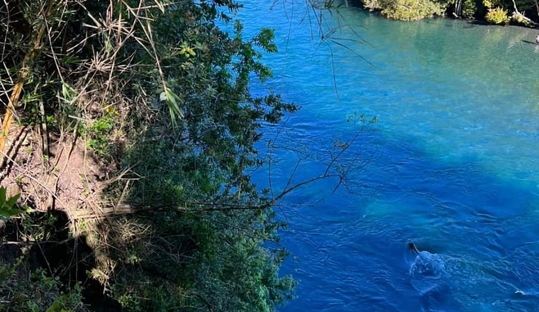 VIVE RUPANCO X REGIÓN