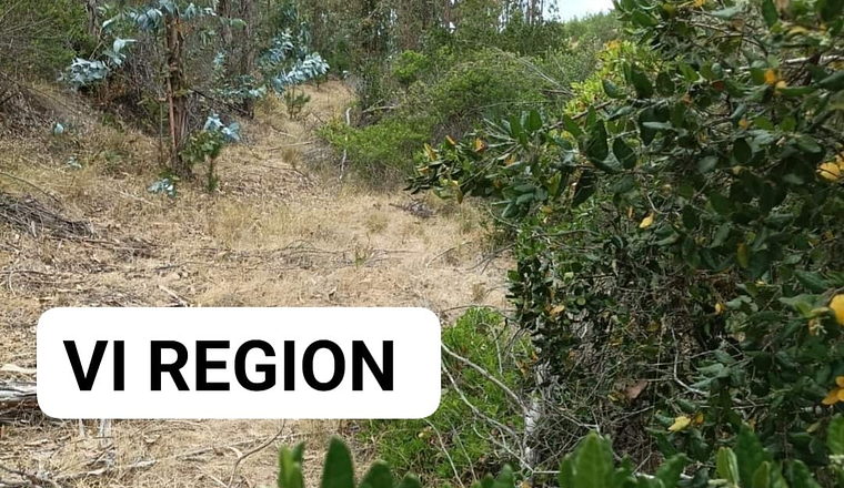 ALTO PAREDONES VI REGIÓN