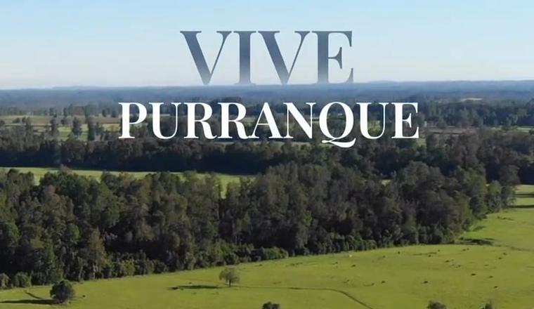 VIVE PURRANQUE X REGIÓN
