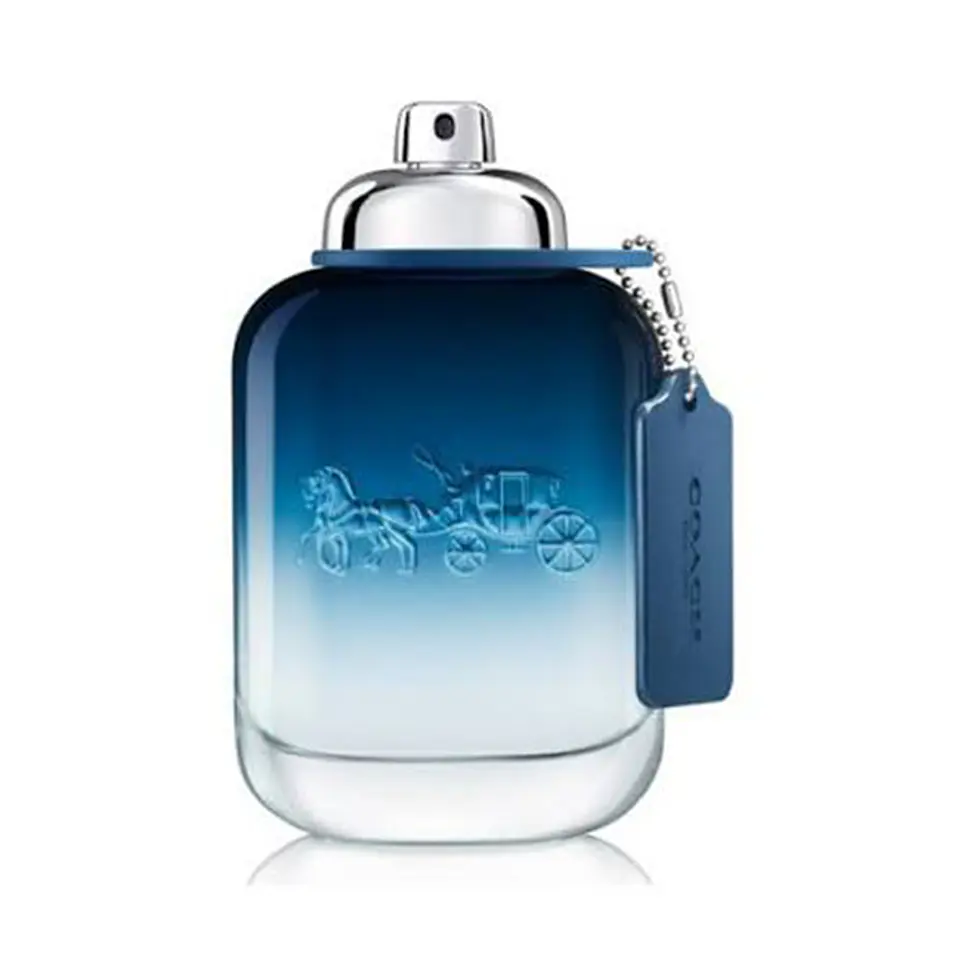 Tester Coach Blue Man De Coach Edt 100ML Hombre 1