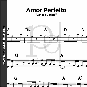 Amor Perfeito | Amado Batista