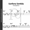 Sanfona Sentida | Dominguinhos