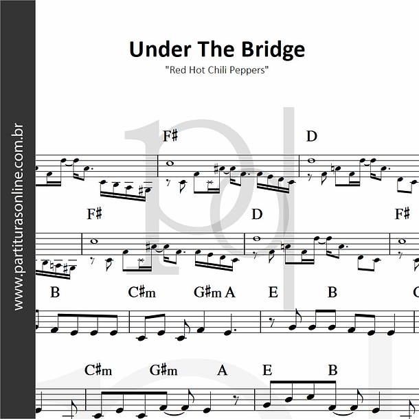 Under The Bridge | Red Hot Chili Peppers 1