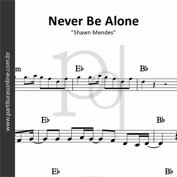 Never Be Alone | Shawn Mendes 1
