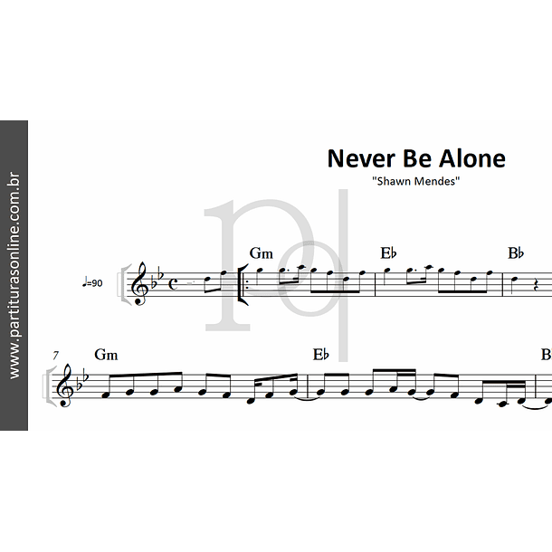 Never Be Alone | Shawn Mendes 2