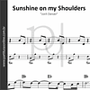 Sunshine on my Shoulders | Jonh Denver