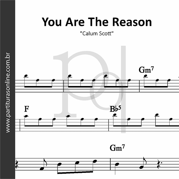 You Are The Reason | Calum Scott 1