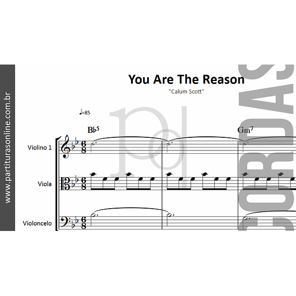 You Are The Reason | Trio de Cordas 2