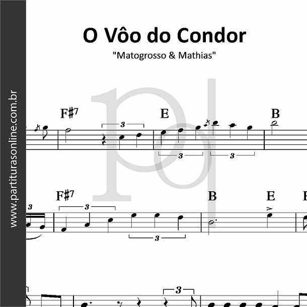 O Vôo do Condor | Matogrosso & Mathias 1
