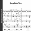 Eye of the Tiger | Survivor