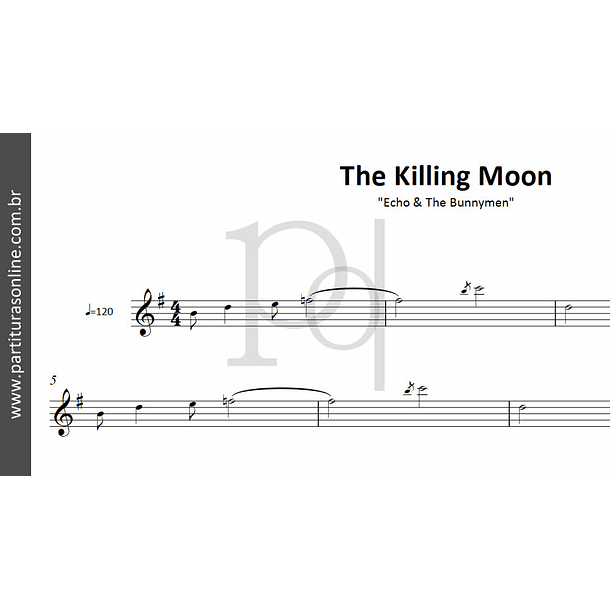 The Killing Moon | Echo & The Bunnymen 2