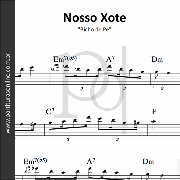 Nosso Xote | Bicho de Pé 1