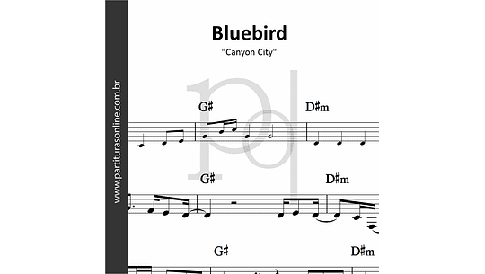 Bluebird | Canyon City
