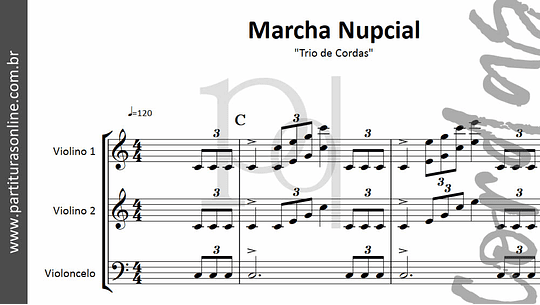 Marcha Nupcial | Trio de Cordas