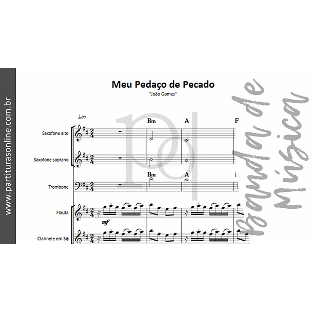 Meu Pedaço de Pecado | Banda de Música 2