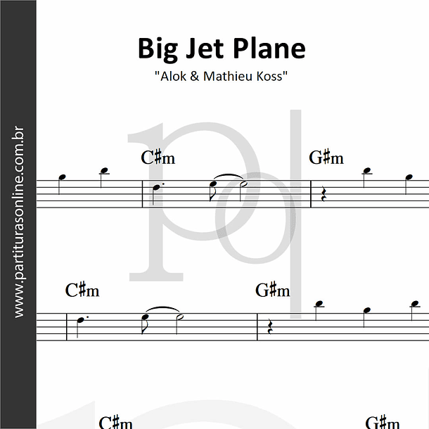 Big Jet Plane | Alok & Mathieu Koss 1