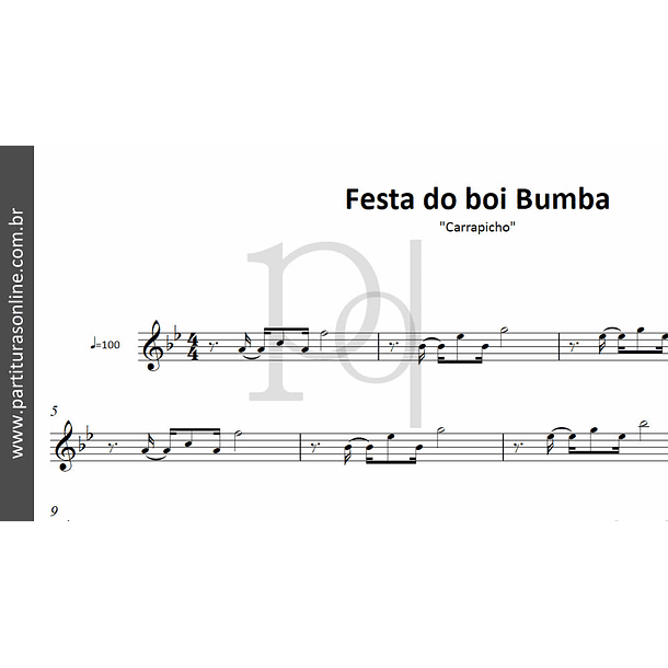 Festa do boi Bumba | Carrapicho 2