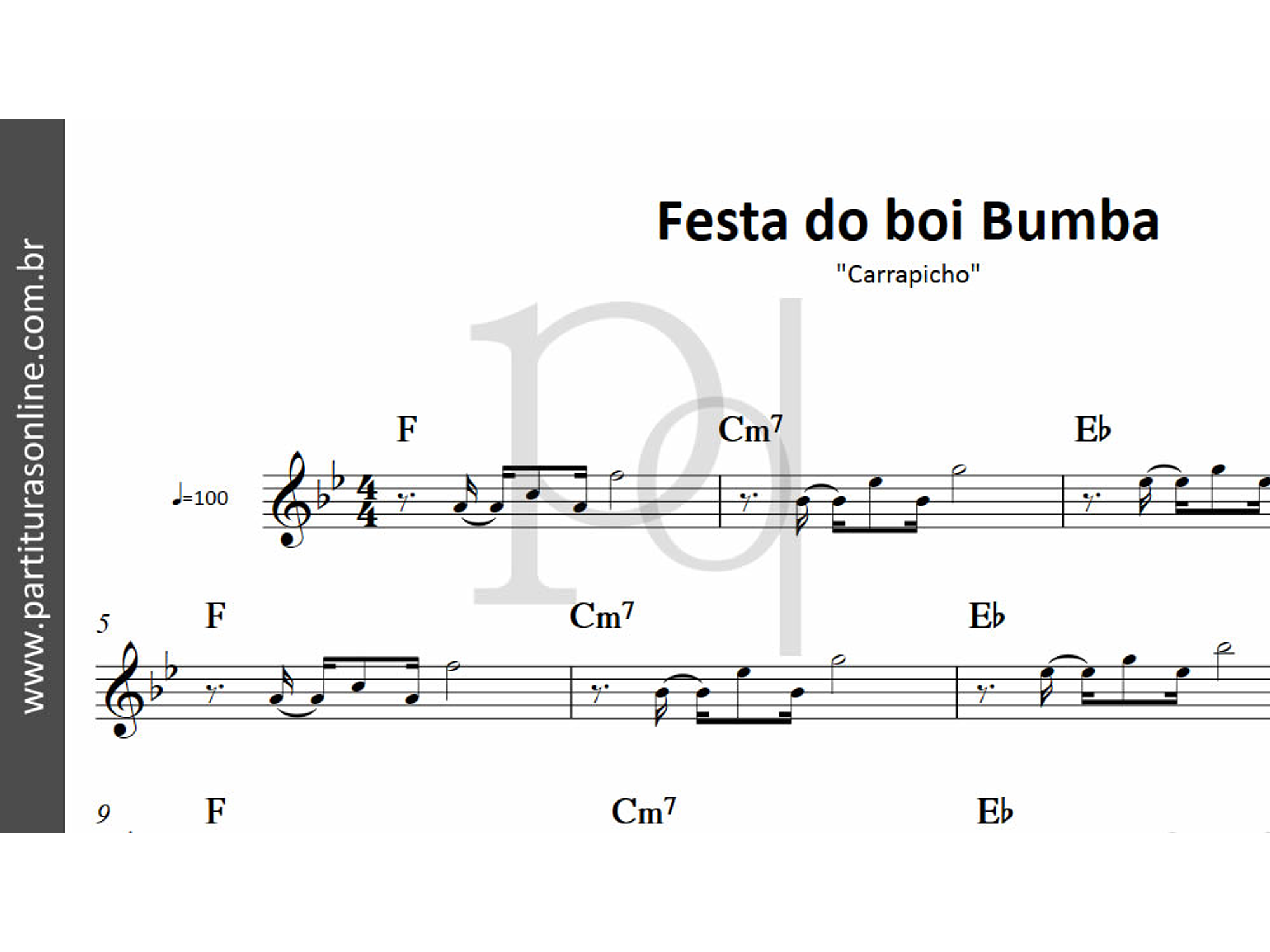 Festa do boi Bumba | Carrapicho 3