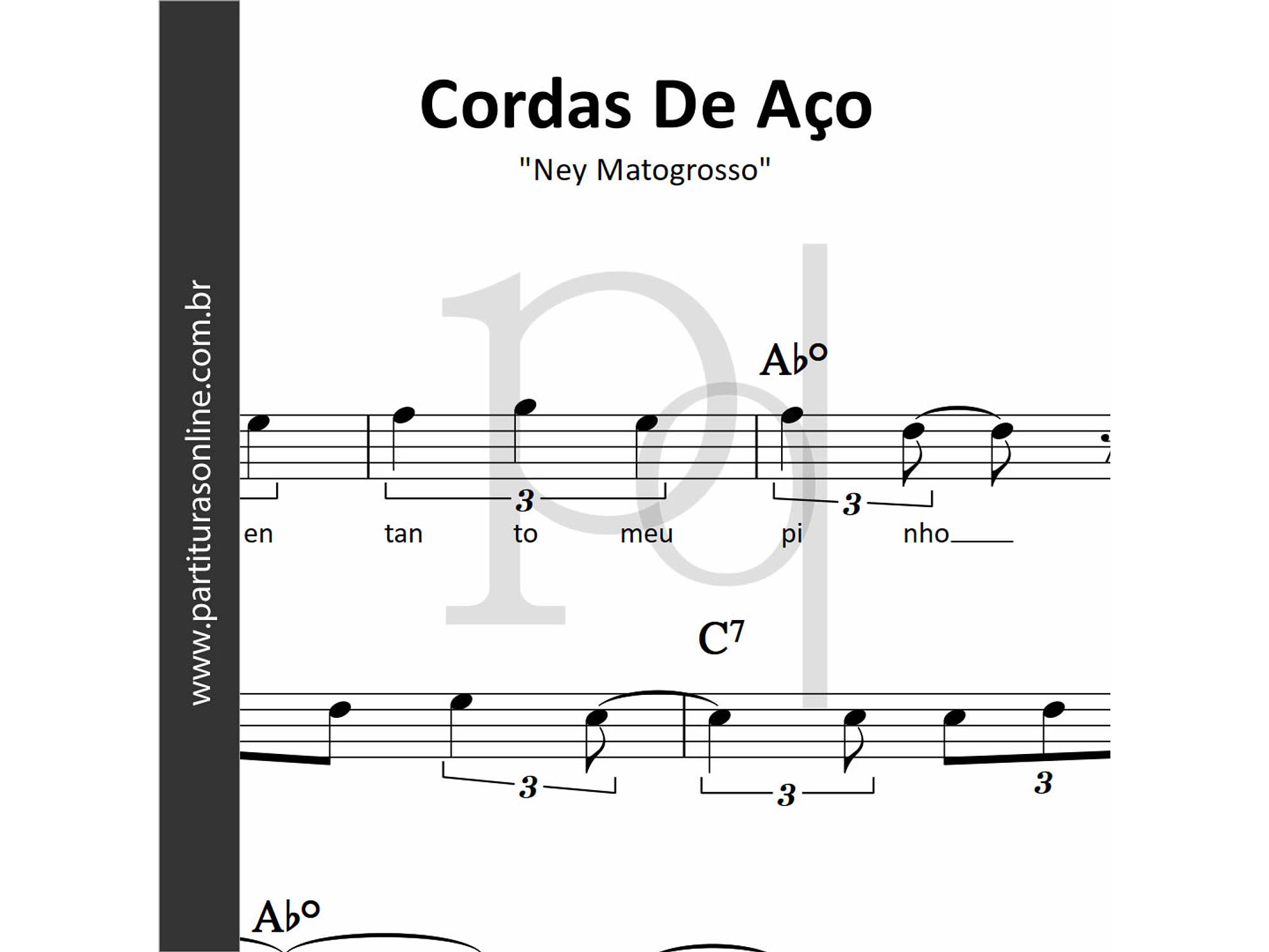 Cordas De Aço | Ney Matogrosso 1