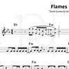 Flames | David Guetta & Sia