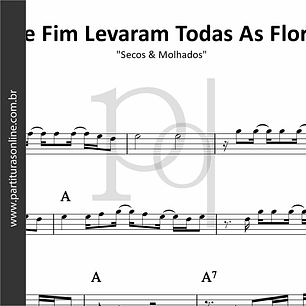 Que Fim Levaram Todas As Flores | Secos & Molhados