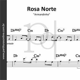 Rosa Norte | Armandinho