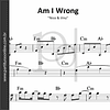 Am I Wrong | Nico & Vinz