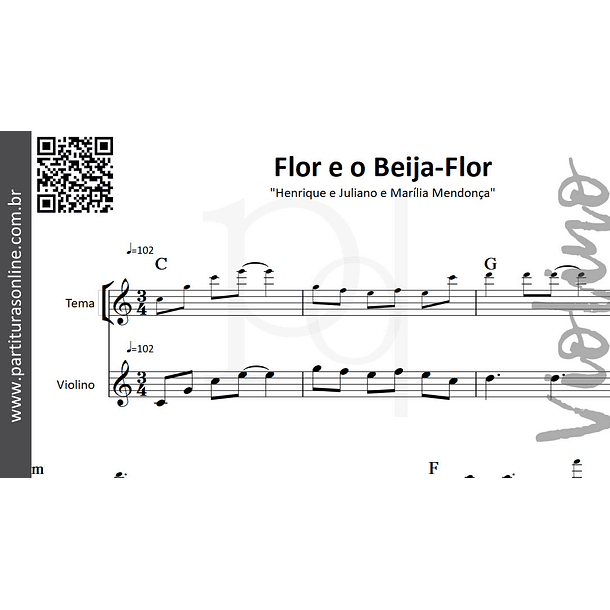 Flor e o Beija-Flor | arranjo para Violino 3