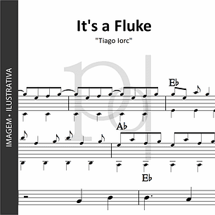 It's a Fluke | Tiago Iorc