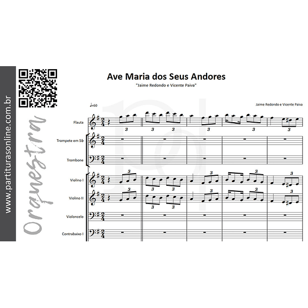 Ave Maria dos Seus Andores | Orquestra 3