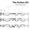 The Perfect Life • Trio de Cordas