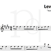 Levels • Avicii