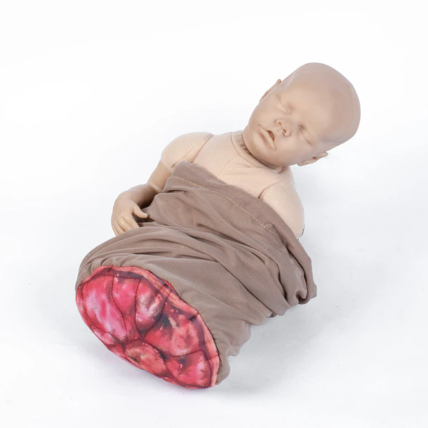 MUÑECO DIDÁCTICO CON PLACENTA 1