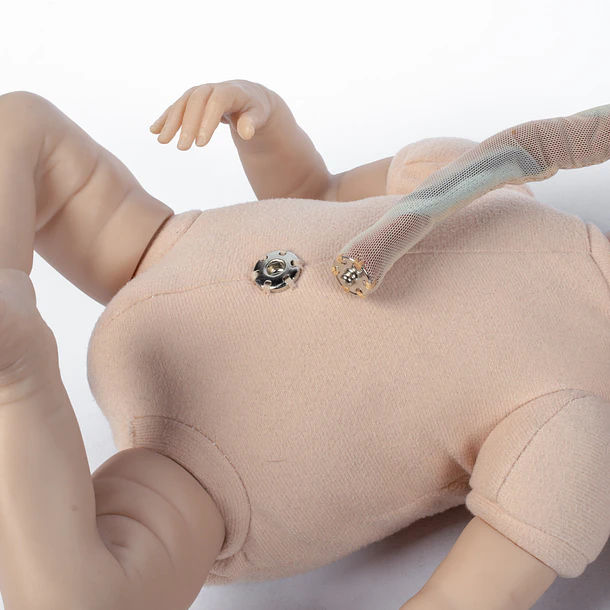 MUÑECO DIDÁCTICO CON PLACENTA 4