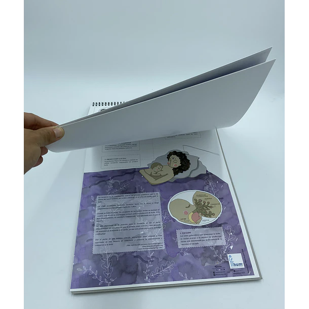 PORTAFOLIO LÁMINAS HUM 4