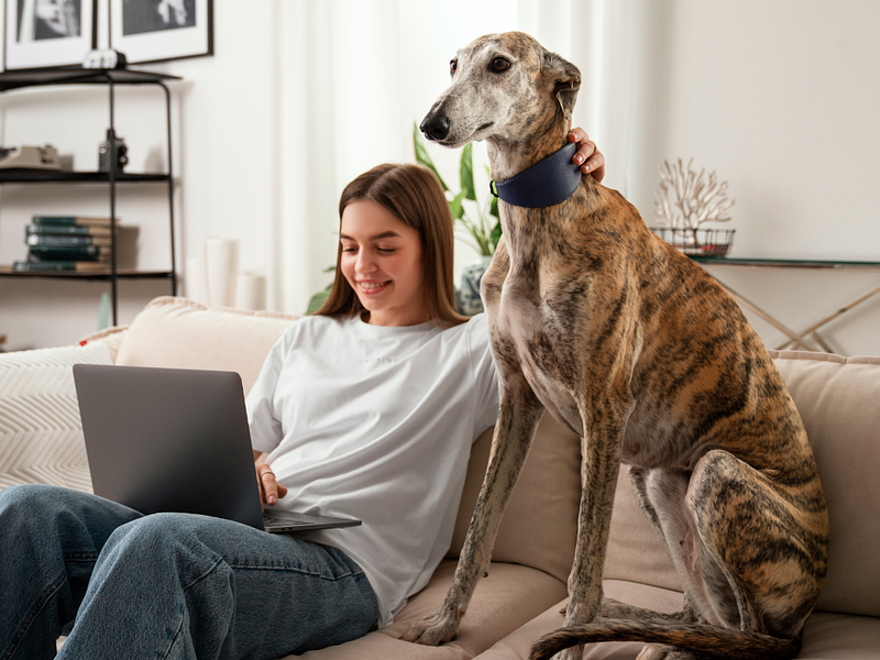 👉 Errores comunes que cometen los tutores primerizos (y cómo evitarlos)