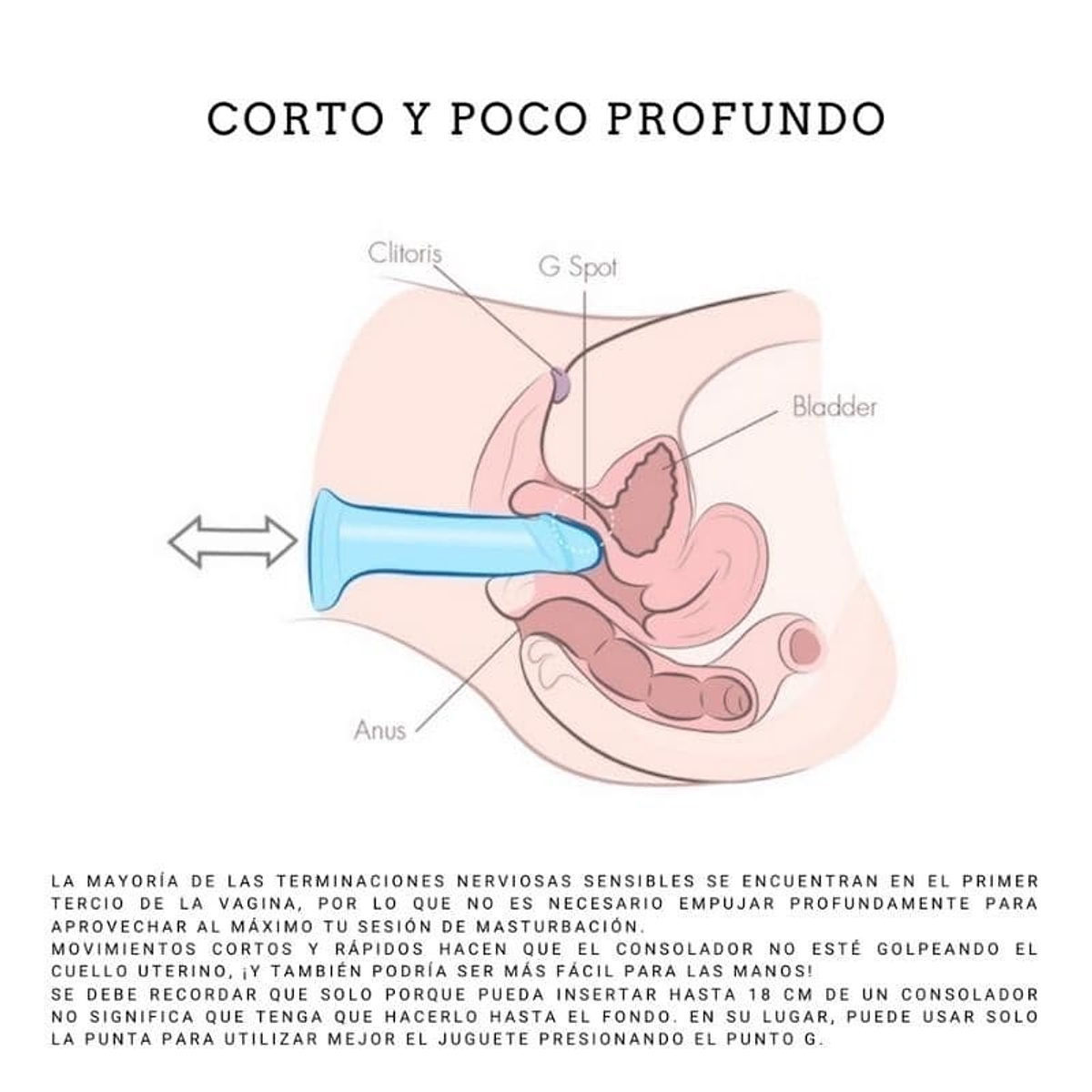 Dildo consolador Rocco 22cm con sopapo succión vaginal punto