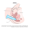 Dildo consolador Vara 19,5cm con sopapo succión vaginal anal arnés sexual