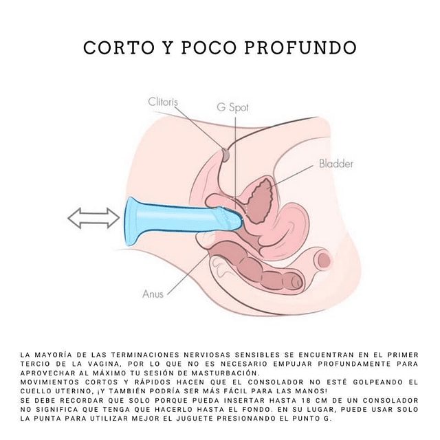 Dildo consolador Coloso 24cm Realisticos testiculos con succión sopapo vaginal punto g anal arnés sexual