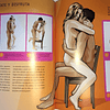 El Gran Libro del Sexo parejas grupos romper rutina explicito nuevas ideas