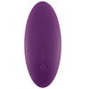 Vibrador calzón Svakom Edeny con app para móvil usb vulva clítoris parejas