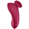 Vibrador Satisfyer Sexy Secret Panty con app para móvil usb vulva clítoris parejas