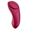 Vibrador Satisfyer Sexy Secret Panty con app para móvil usb vulva clítoris parejas